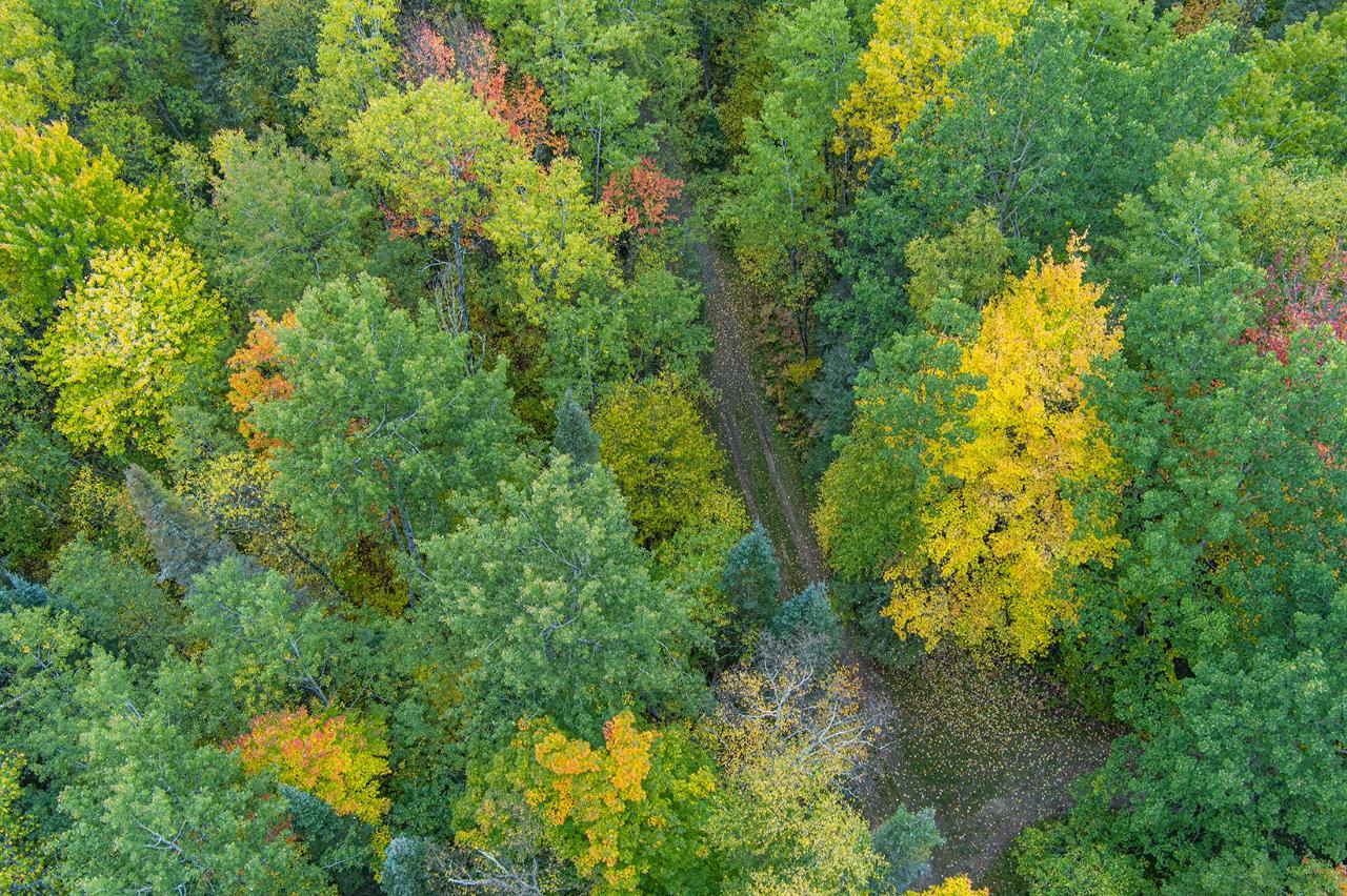 10680 Powers Dam Road Long Lake, WI 54542 - Photo 38 of 65 Gallery Image 38