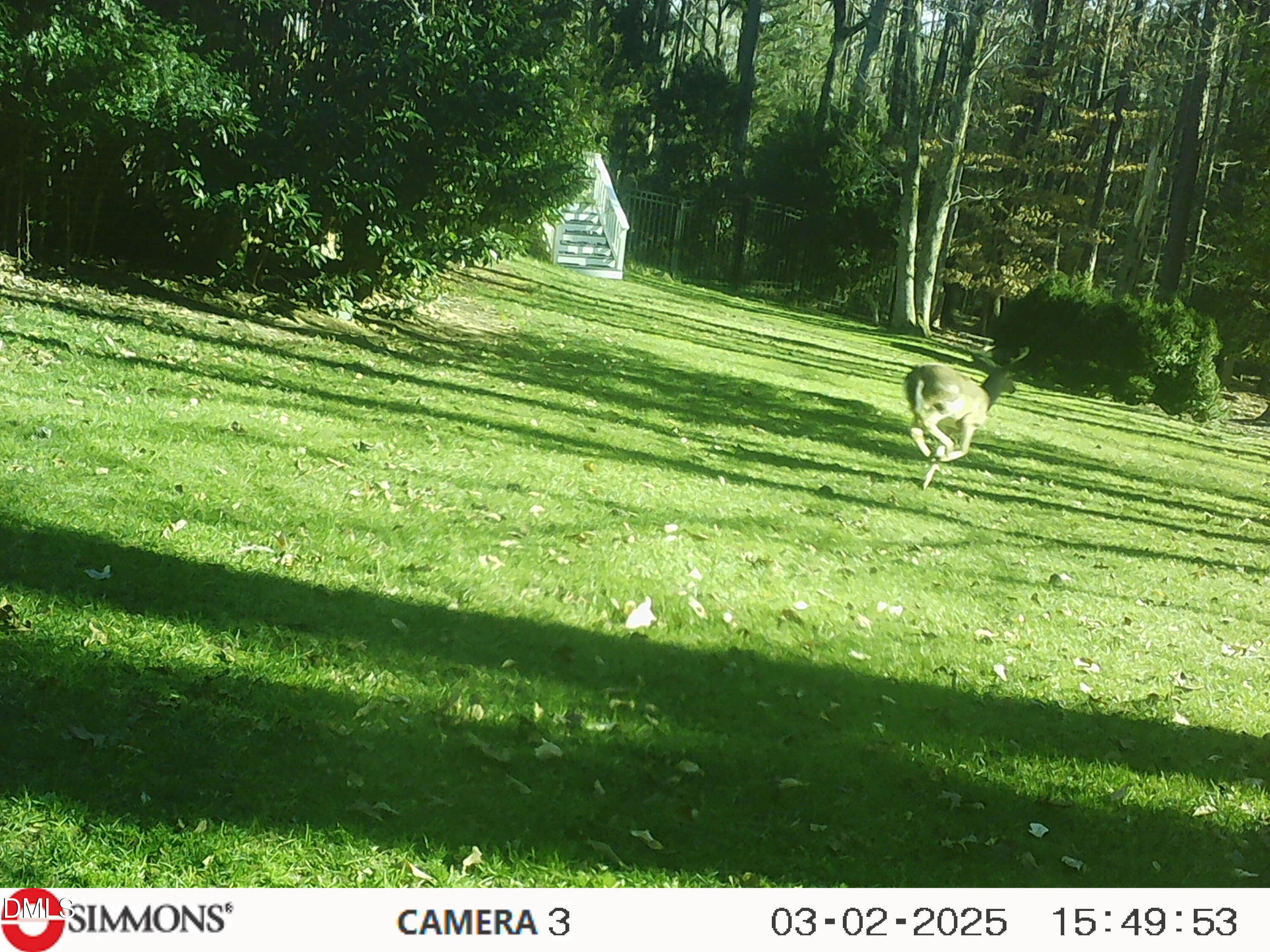 672 Lake Wackena Road Goldsboro, NC 27534 - Photo 41 of 46 a view of a golf course with a yard