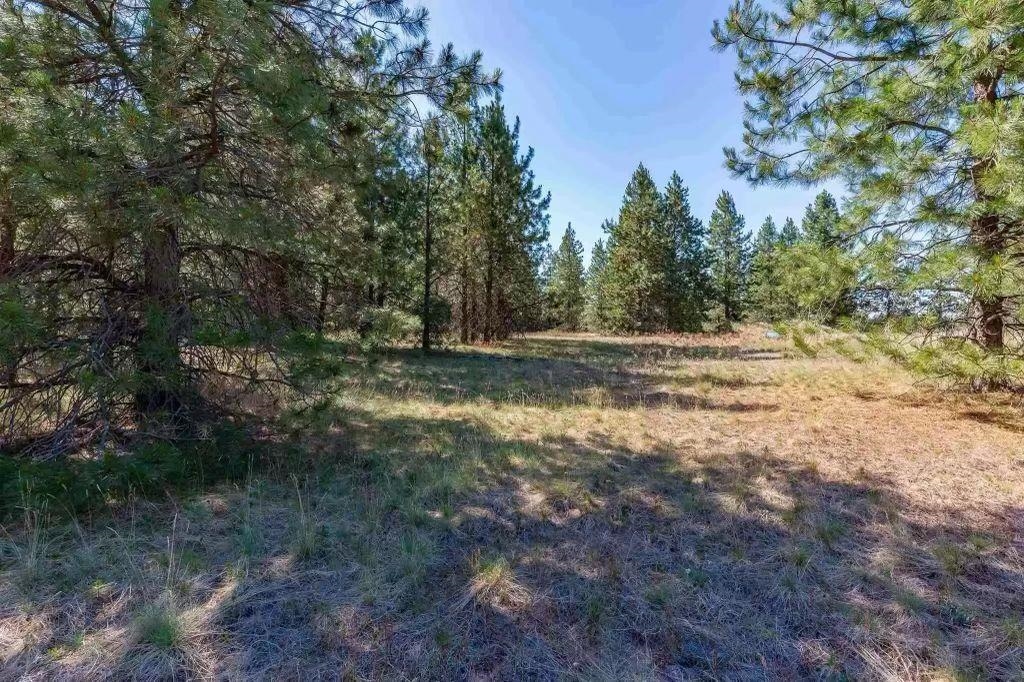 909 West Montgomery Rd  