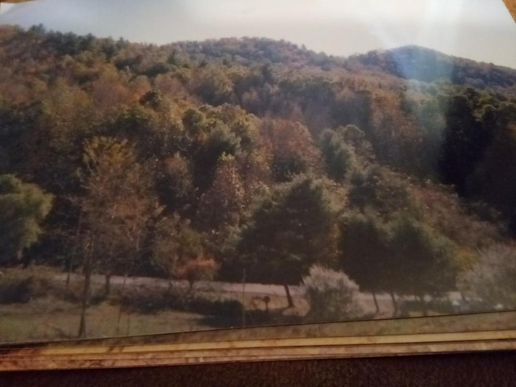 Tbd R D Campbell Road, Unit 1 Butler, TN 37640 - Photo 17 of 28 Photo 5