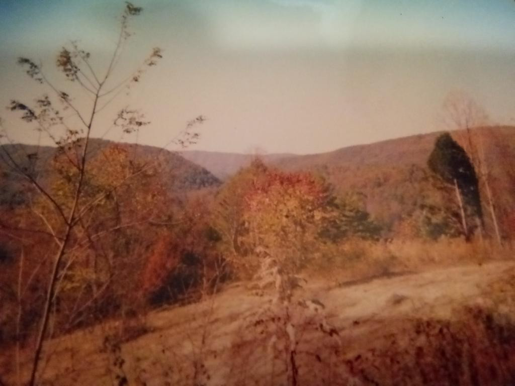 Tbd R D Campbell Road, Unit 1 Butler, TN 37640 - Photo 26 of 28 Photo 14