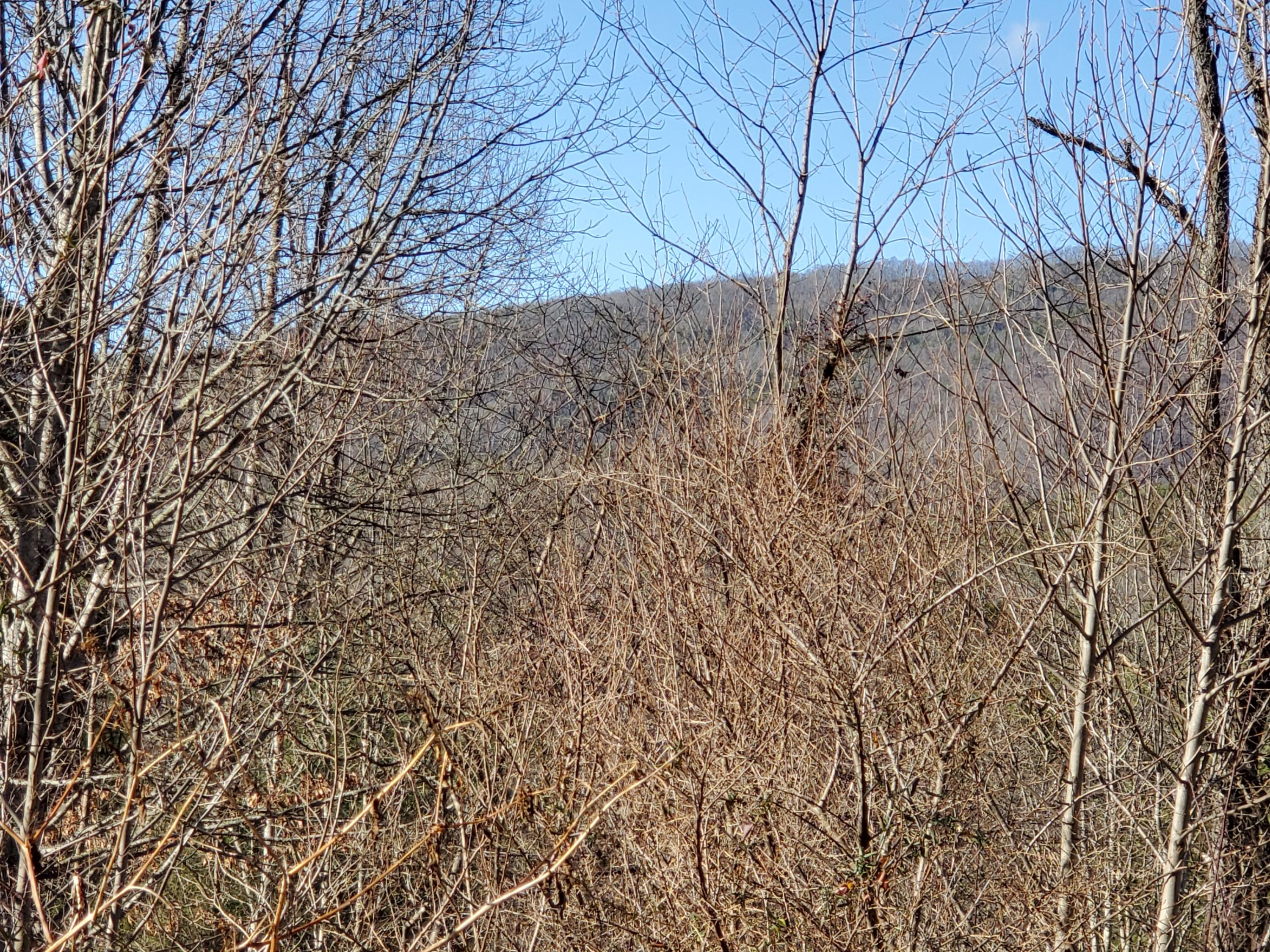 Tbd R D Campbell Road, Unit 1 Butler, TN 37640 - Photo 7 of 28 20191230_135057