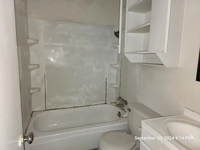 a view of a yard with large tree