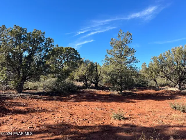 a view of dirt yard with a large tree