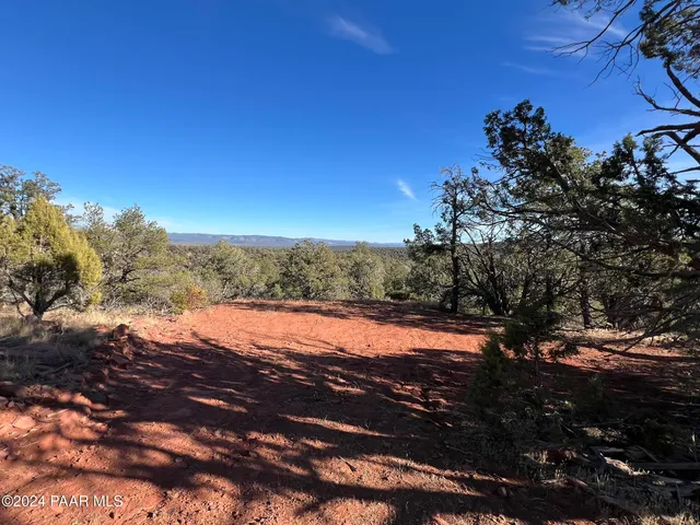 a view of a yard with trees