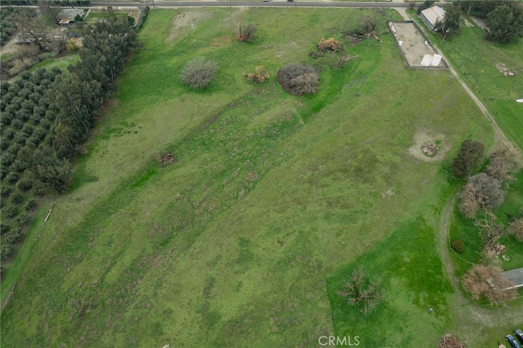 4712 County Road East Orland, CA 95963 - Photo 4 of 9 between tree line to before the concrete pad