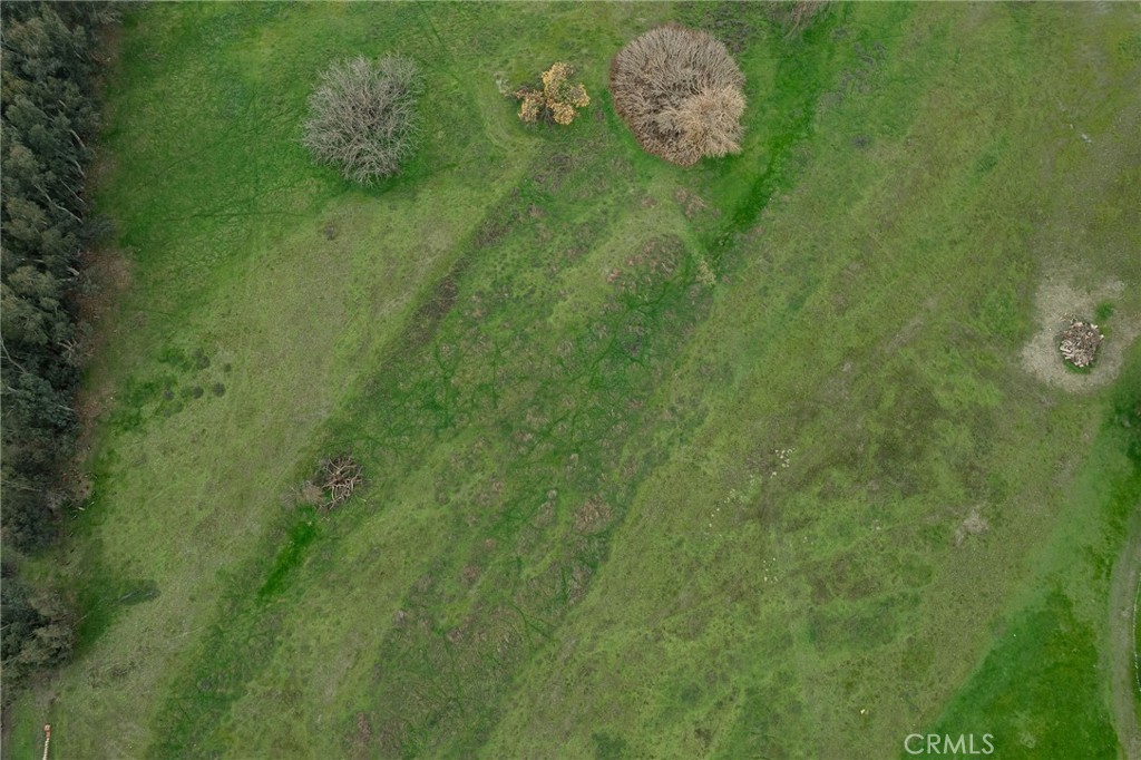 4712 County Road East Orland, CA 95963 - Photo 7 of 9 close up - dry creek area