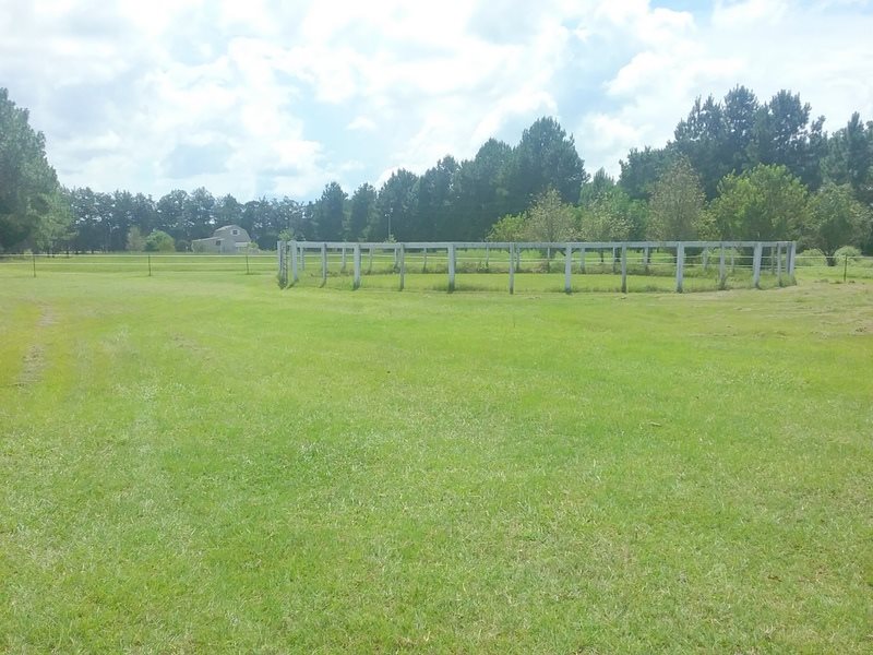 6176 Nubbin Ridge Road Greenwood, FL 32443 - Photo 3 of 24