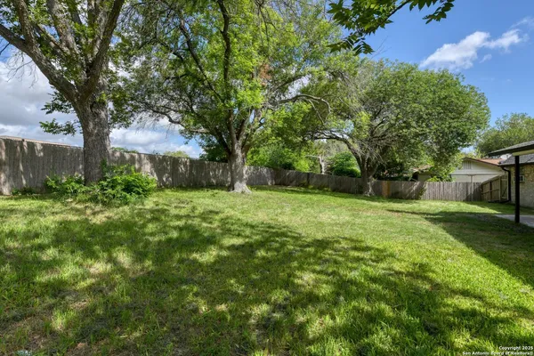 a view of a backyard with a large tree