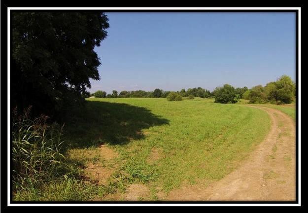 150 Mt Zion Road Southwest Lancaster, OH 43130 - Photo 15 of 24