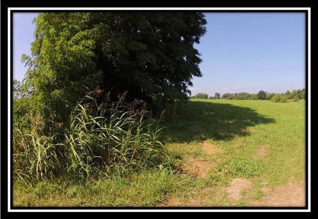 150 Mt Zion Road Southwest Lancaster, OH 43130 - Photo 4 of 24