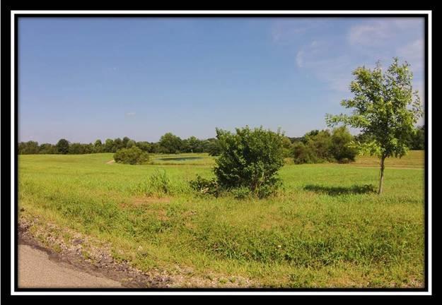 150 Mt Zion Road Southwest Lancaster, OH 43130 - Photo 5 of 24