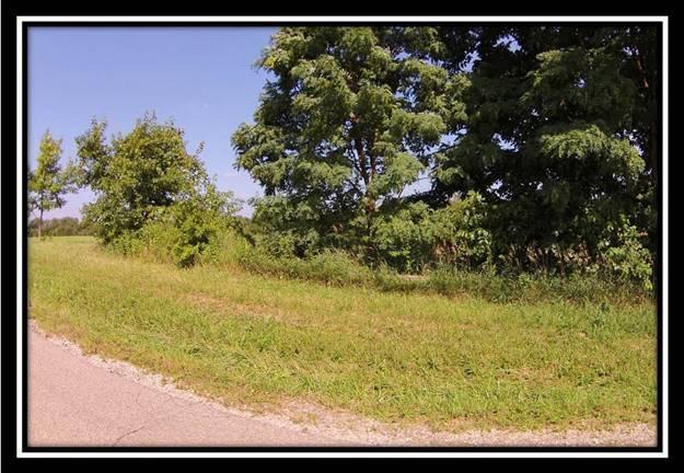 150 Mt Zion Road Southwest Lancaster, OH 43130 - Photo 7 of 24