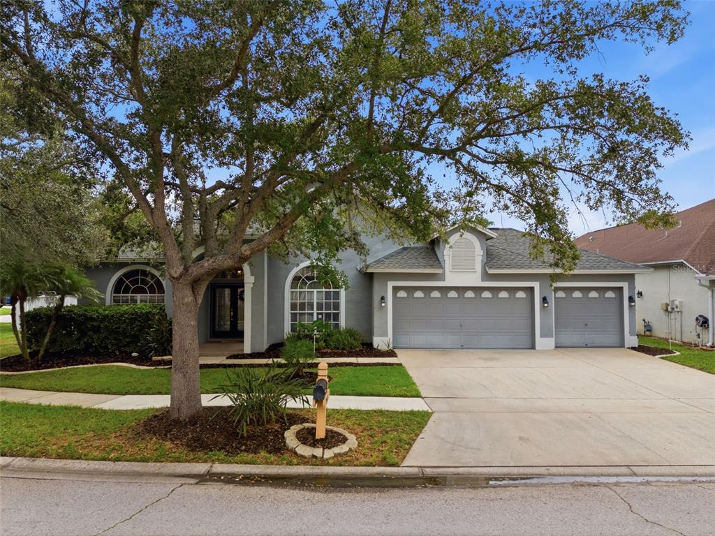 19348 Wind Dancer Street Lutz, FL 33558 - Photo 67 of 83
