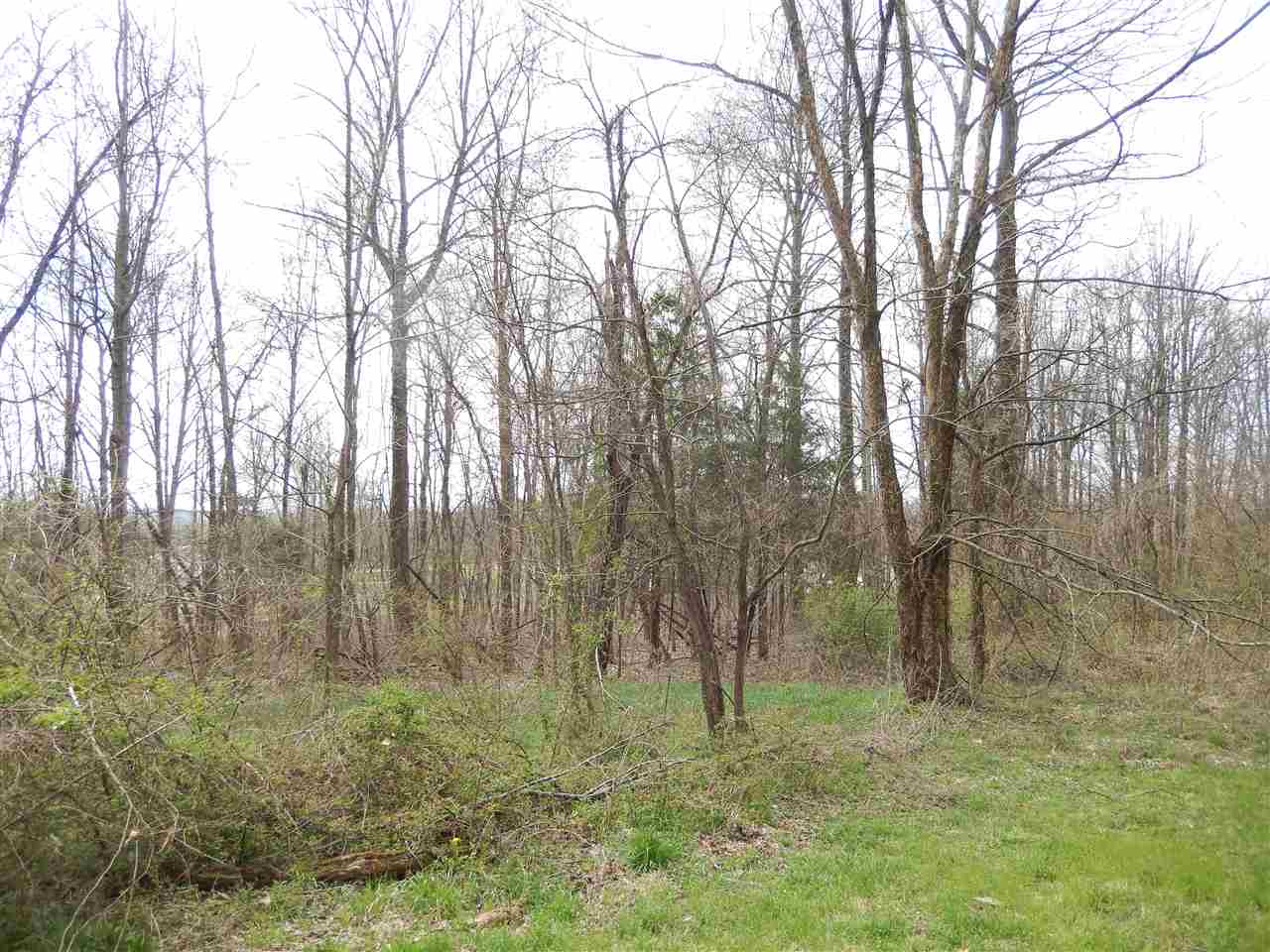 2340 South Garrison Chapel Road Bloomington, IN 47403 - Photo 3 of 15 Gallery Image 3