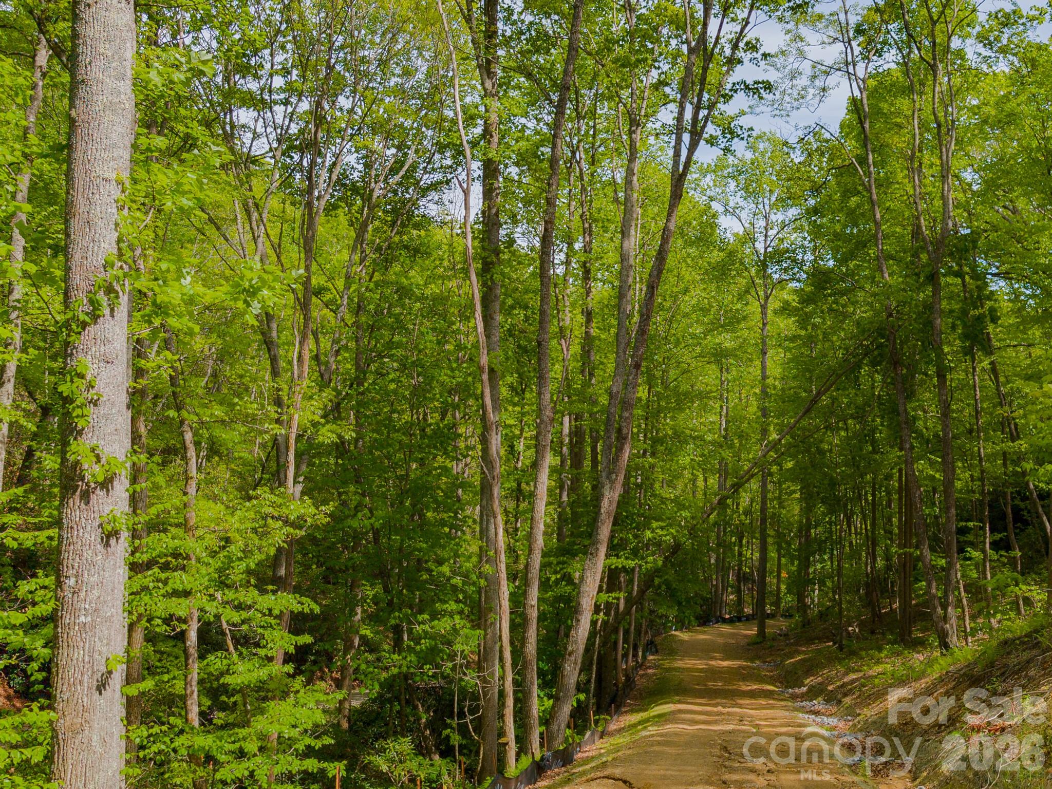 10.1-acres On Old Fort Road Fairview, NC 28730 - Photo 27 of 28 a view of a forest
