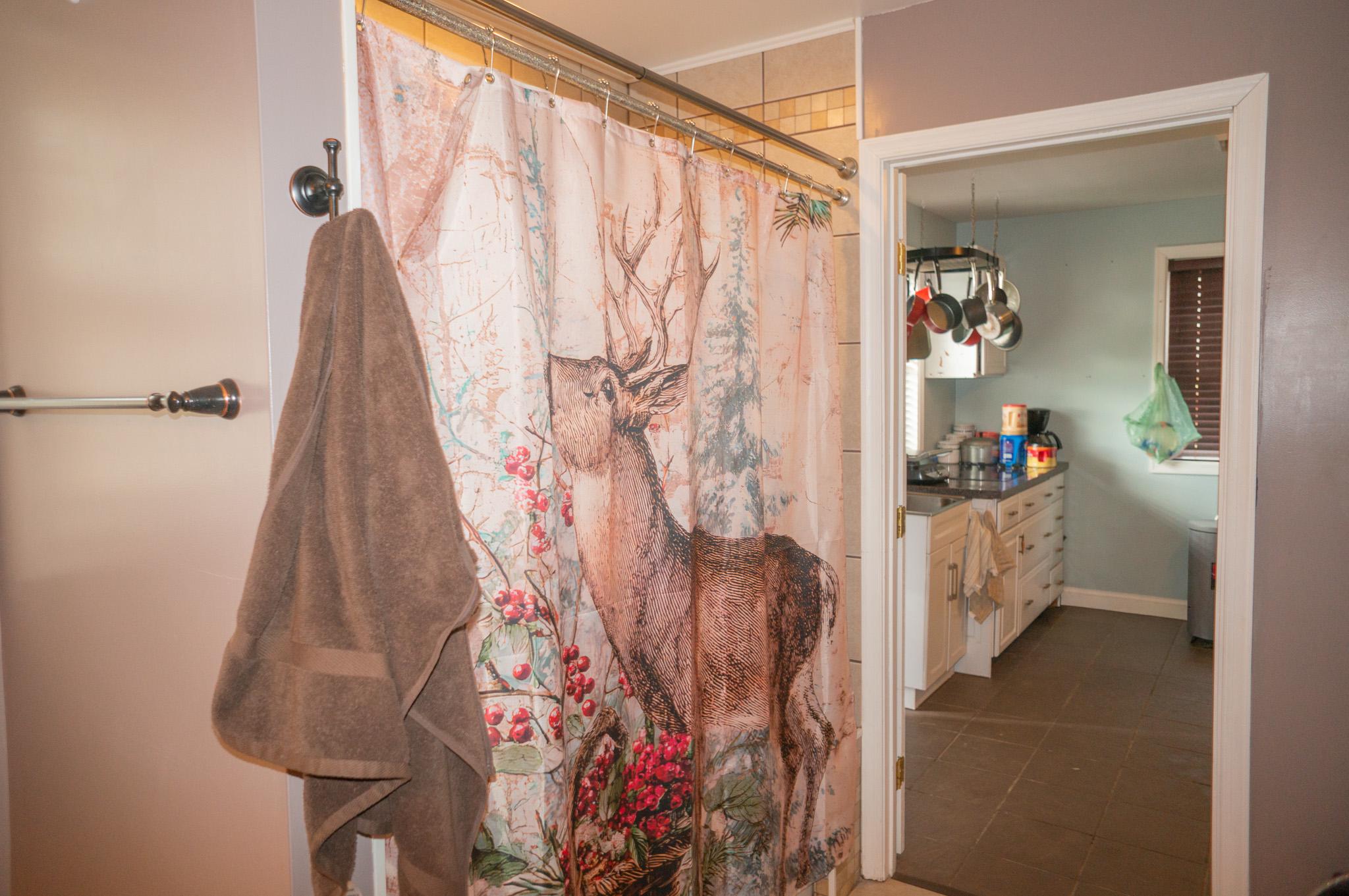 14803 Mt Olivet Road Stewartstown, PA 17363 - Photo 18 of 81 Charming bathroom with nature theme.