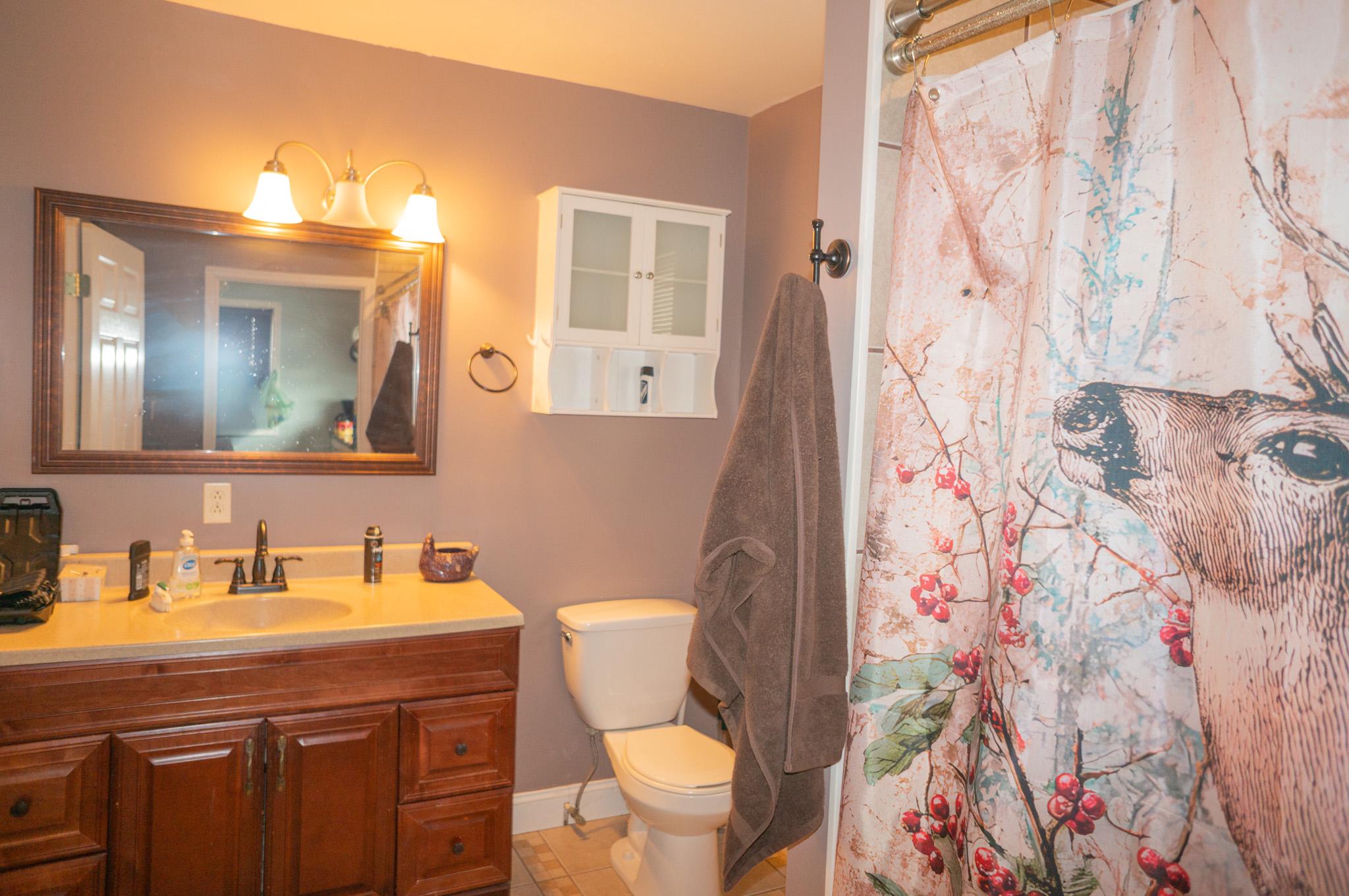 14803 Mt Olivet Road Stewartstown, PA 17363 - Photo 19 of 81 a bathroom with a sink toilet and mirror