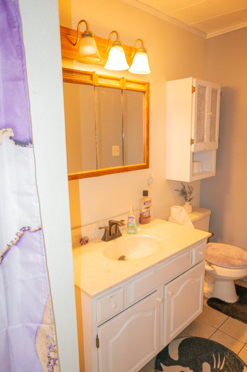 14803 Mt Olivet Road Stewartstown, PA 17363 - Photo 37 of 81 a bathroom with a sink a toilet and mirror