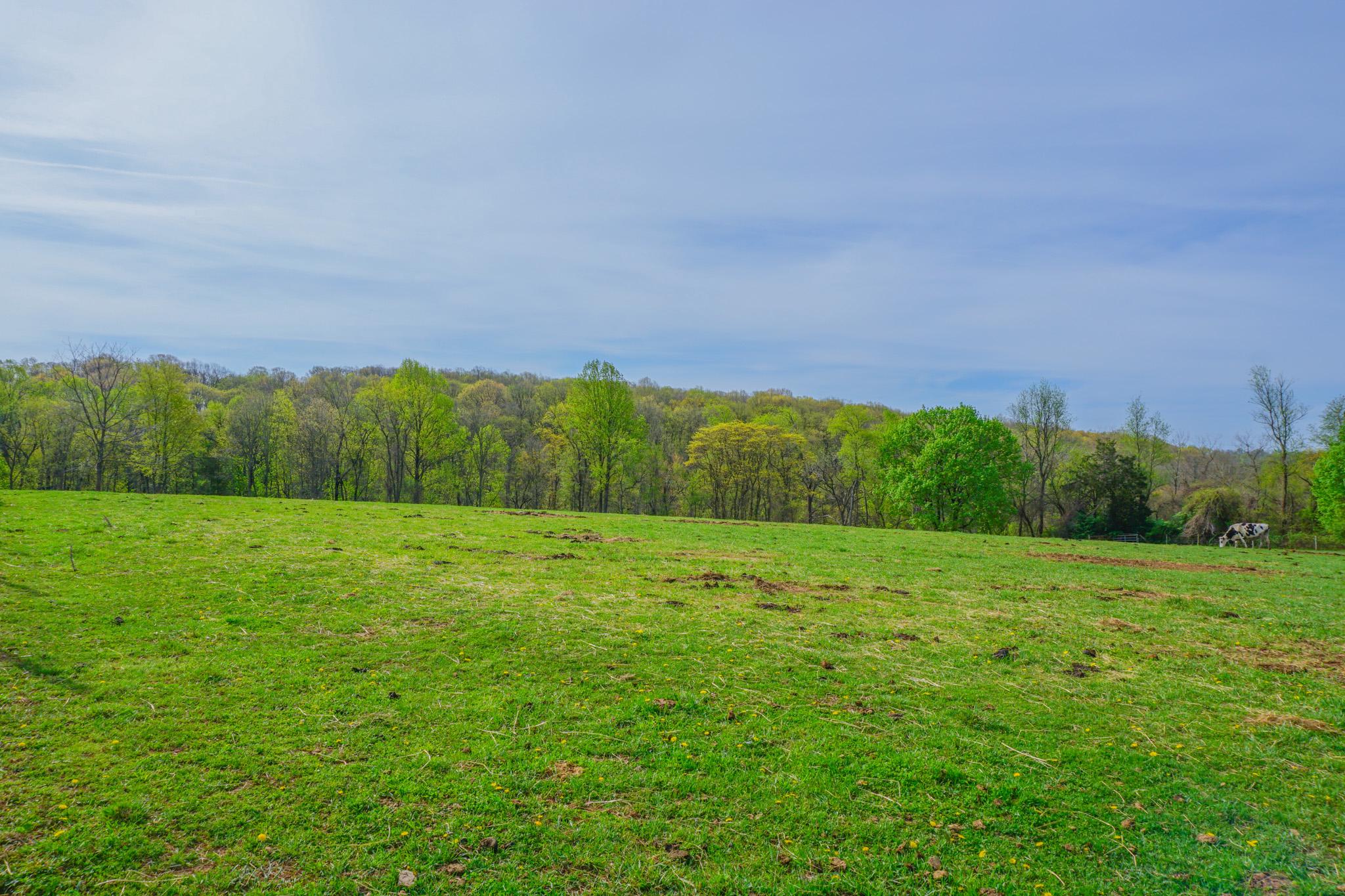 14803 Mt Olivet Road Stewartstown, PA 17363 - Photo 60 of 81 Lush green landscape under blue skies.