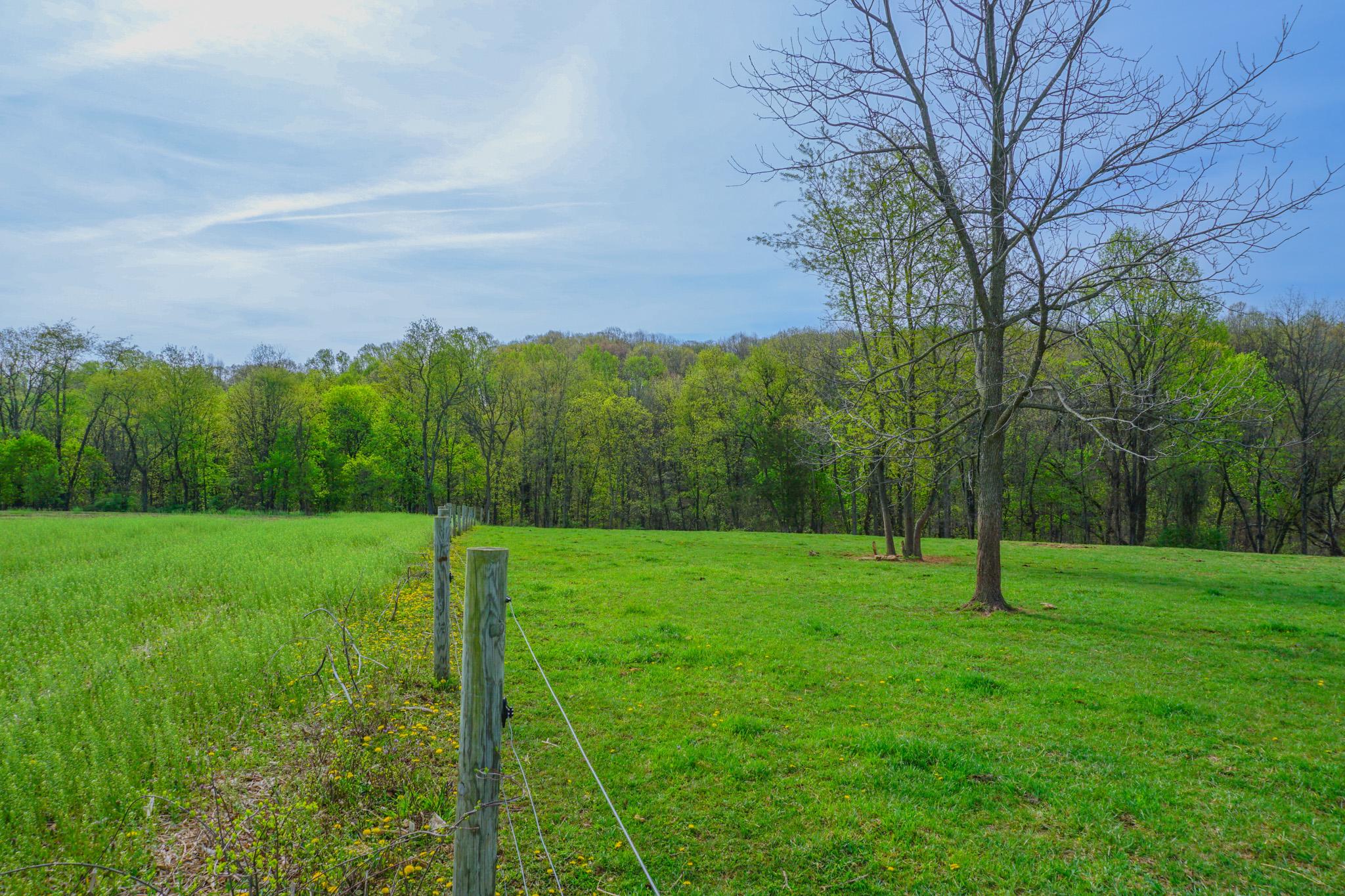 14803 Mt Olivet Road Stewartstown, PA 17363 - Photo 61 of 81 a view of a big yard with a large trees