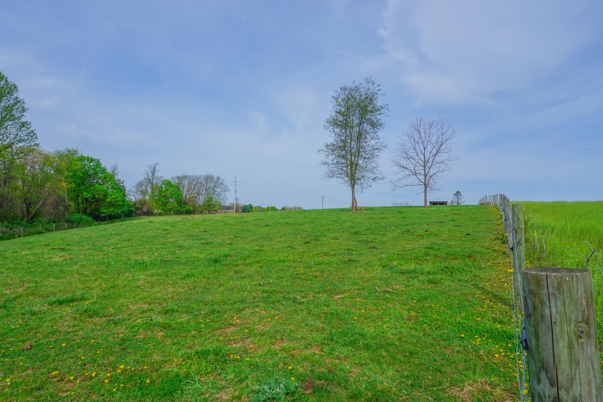 14803 Mt Olivet Road Stewartstown, PA 17363 - Photo 63 of 81 Serene hillside with gentle trees.