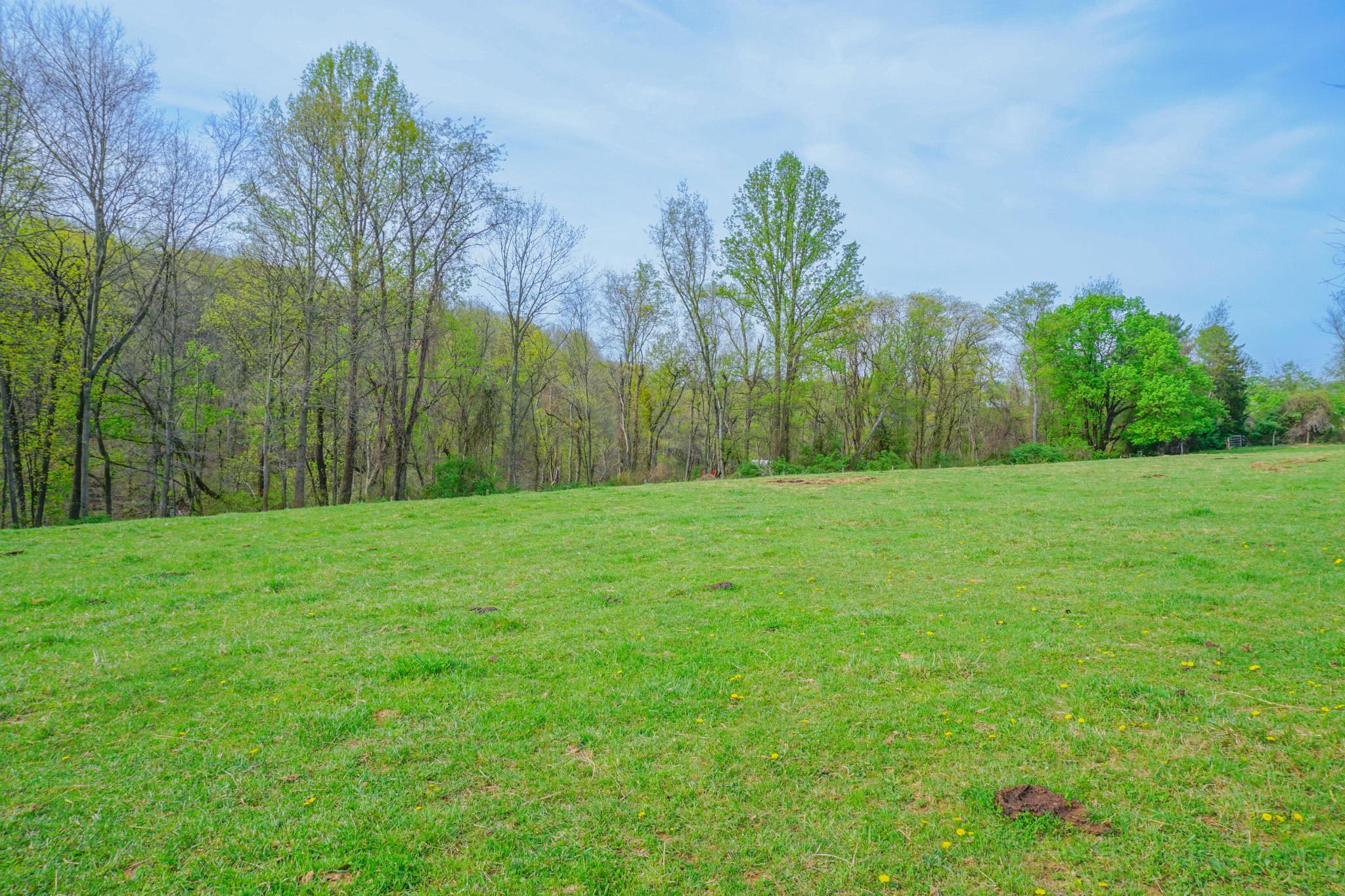 14803 Mt Olivet Road Stewartstown, PA 17363 - Photo 64 of 81 a backyard of a house with palm trees