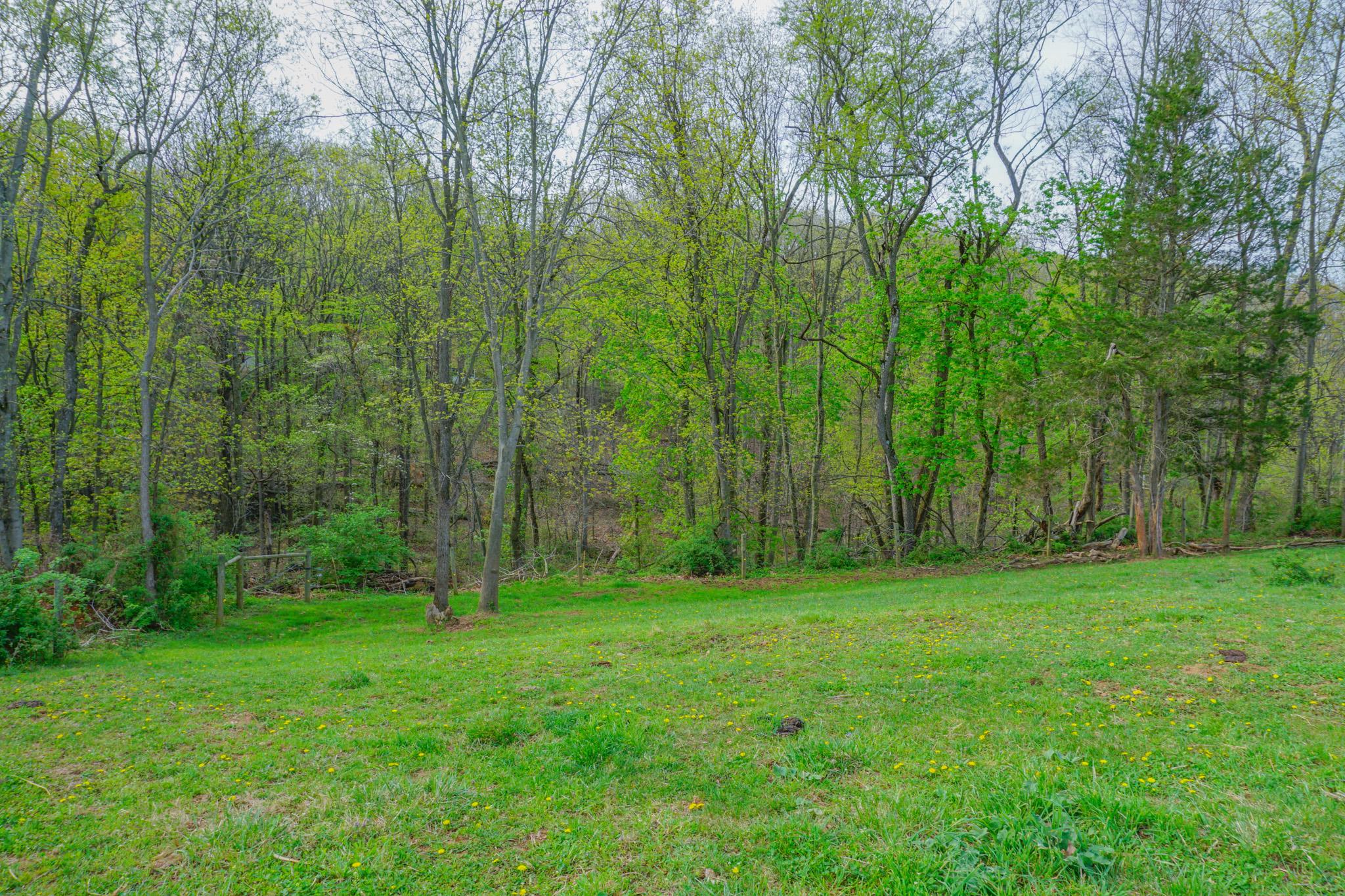 14803 Mt Olivet Road Stewartstown, PA 17363 - Photo 65 of 81 Lush green woodland retreat awaits.