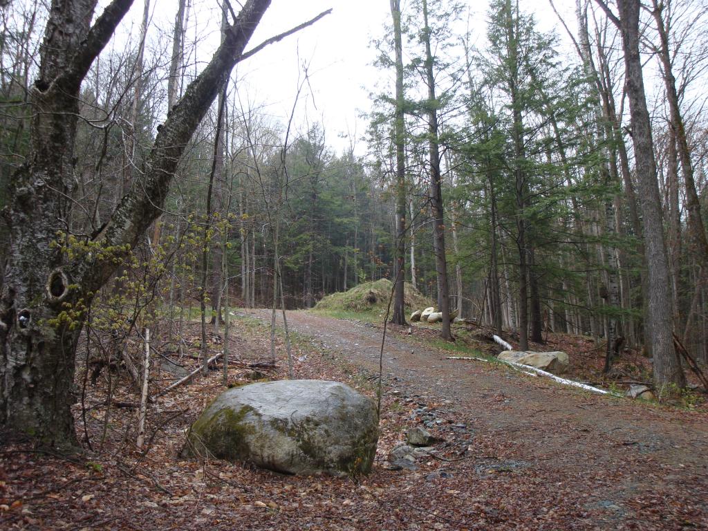 0 Castle Hill Road Jamaica, VT 05343 - Photo 1 of 14 Gallery Image 1