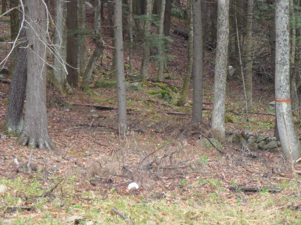 0 Castle Hill Road Jamaica, VT 05343 - Photo 4 of 14 Gallery Image 4