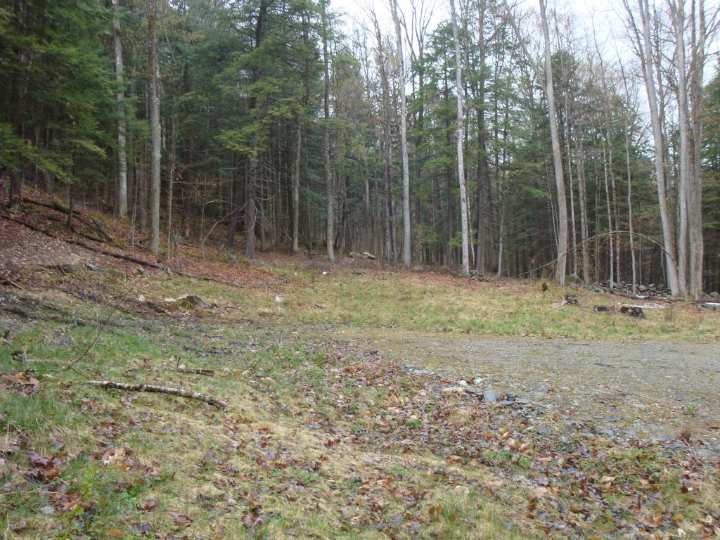 0 Castle Hill Road Jamaica, VT 05343 - Photo 6 of 14 Gallery Image 6