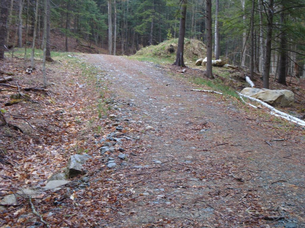 0 Castle Hill Road Jamaica, VT 05343 - Photo 10 of 14 Gallery Image 10