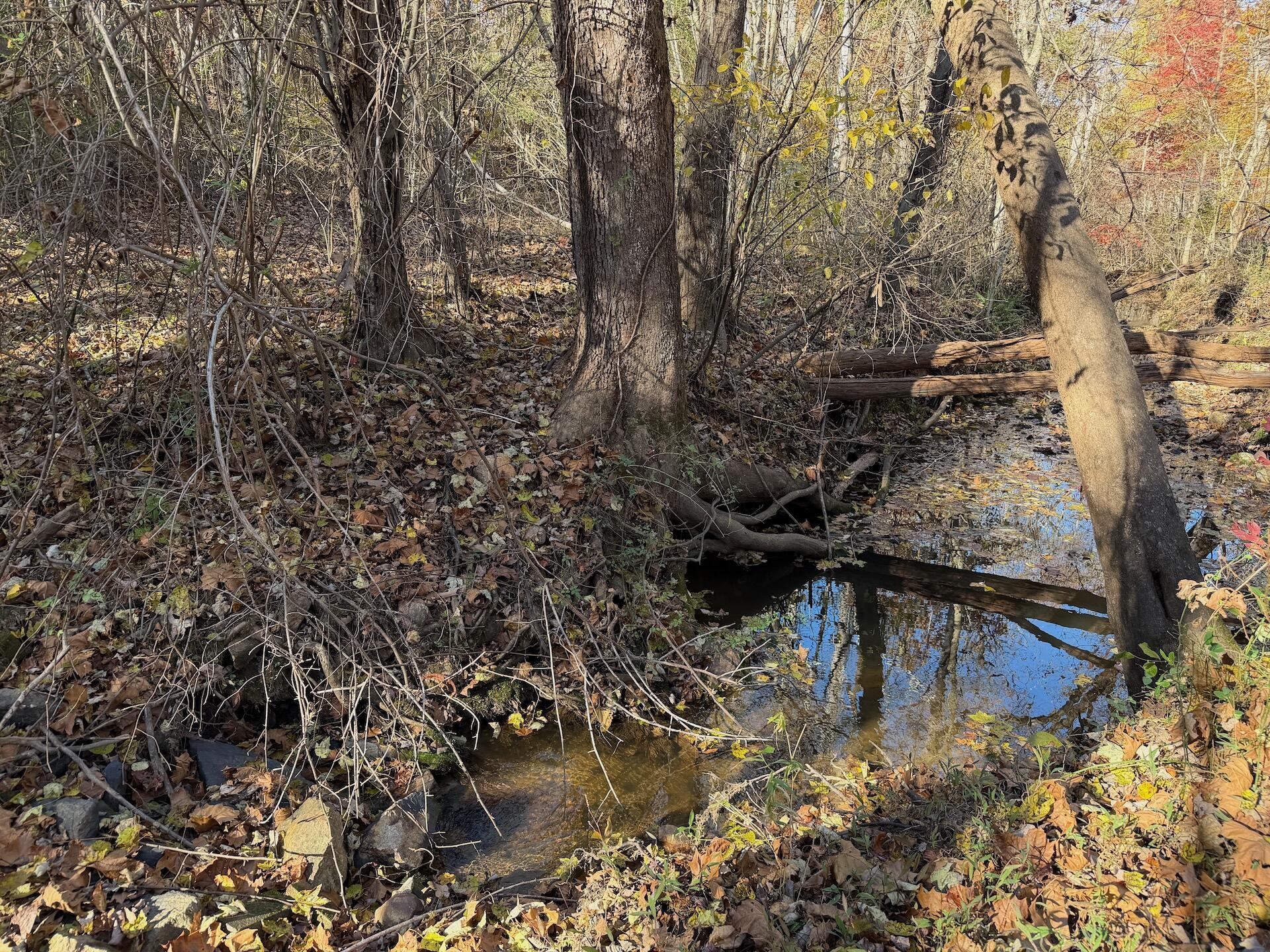 0 Beulah Road Rocky Mount, VA 24151 - Photo 11 of 90 11