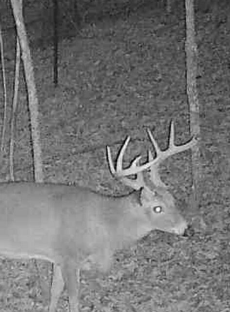 0 Beulah Road Rocky Mount, VA 24151 - Photo 13 of 90 IMG_0517