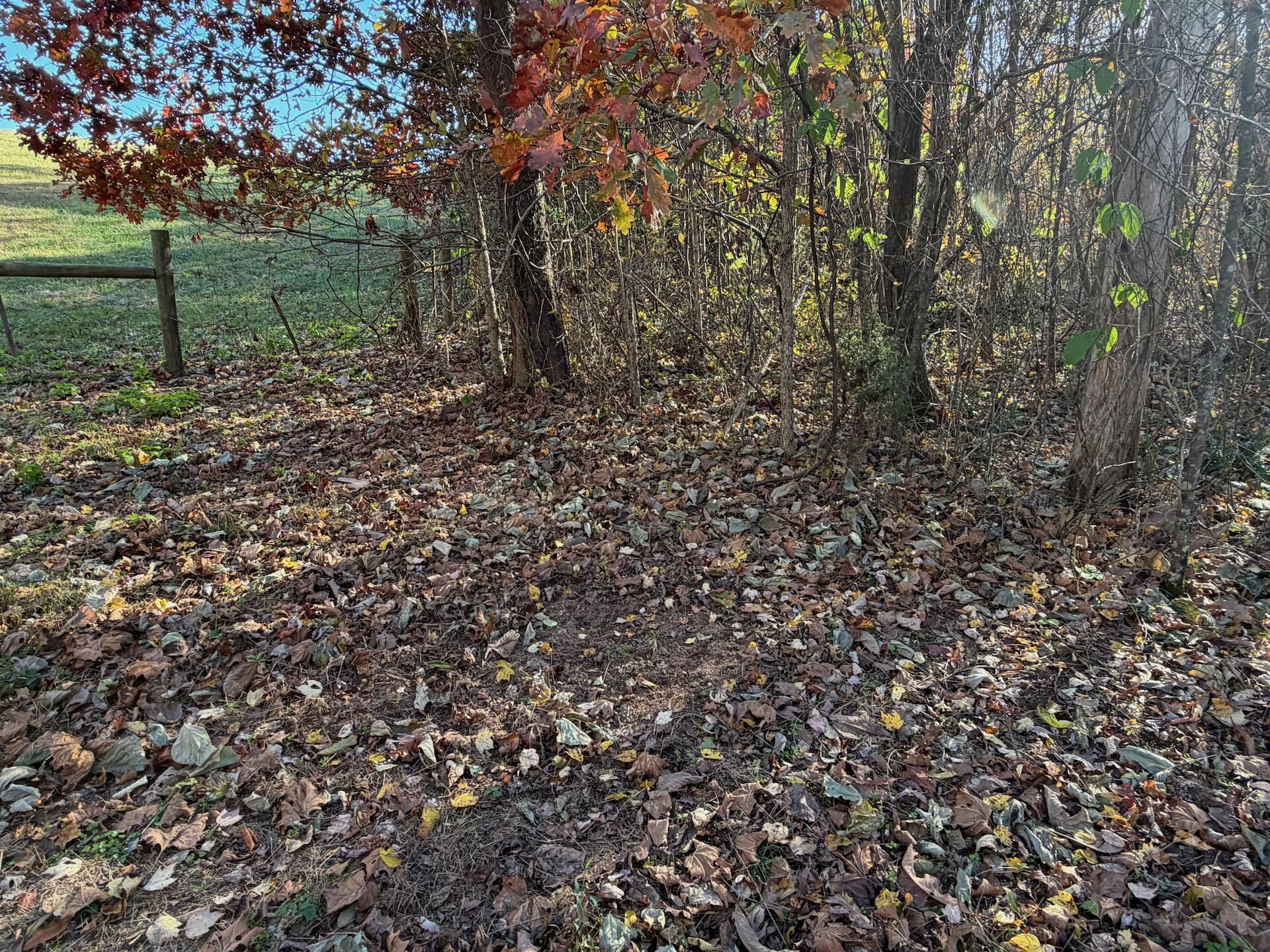 0 Beulah Road Rocky Mount, VA 24151 - Photo 14 of 90 Dykstra ground photos - 30