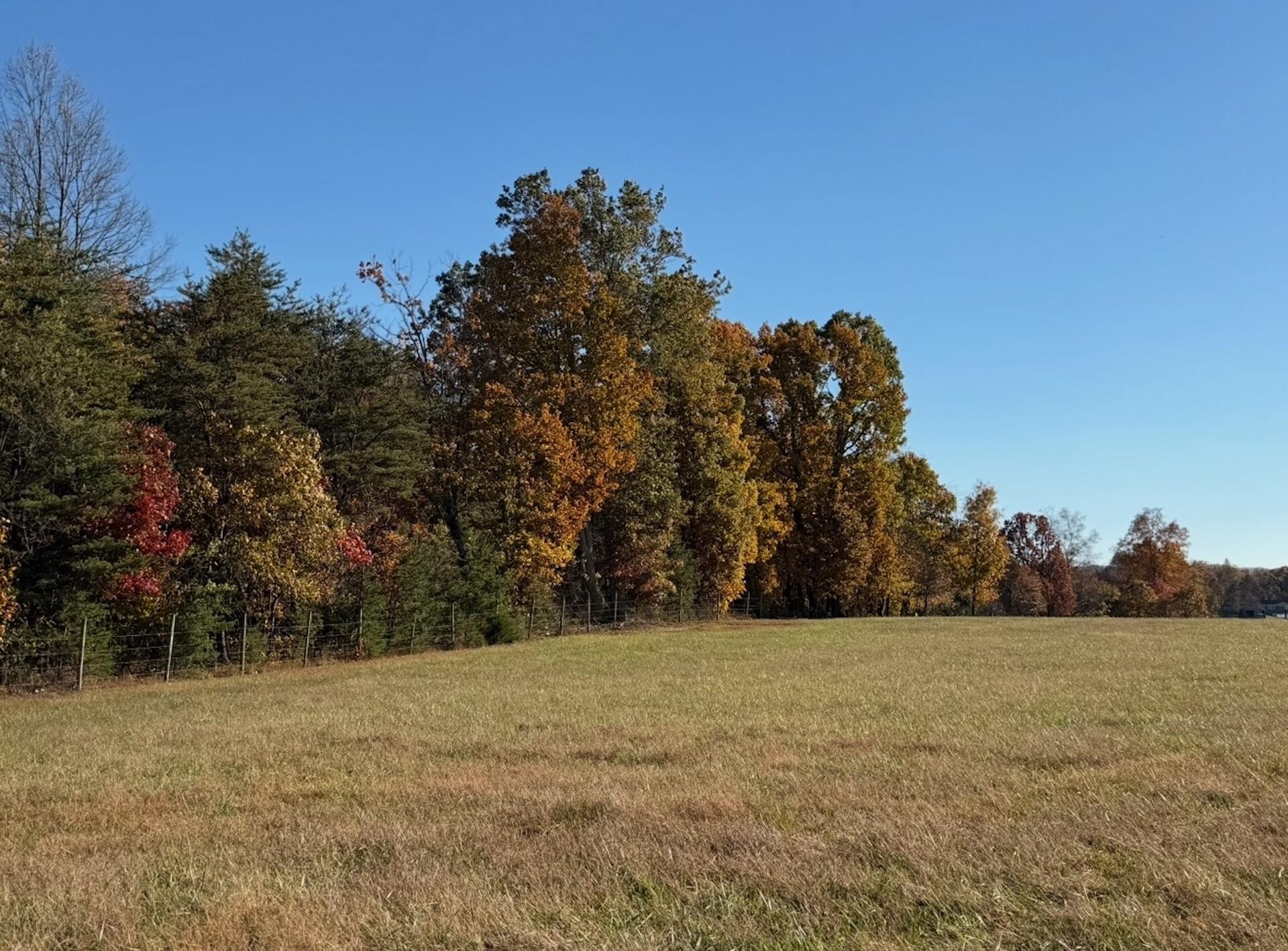 0 Beulah Road Rocky Mount, VA 24151 - Photo 18 of 90 Dykstra ground photos - 33