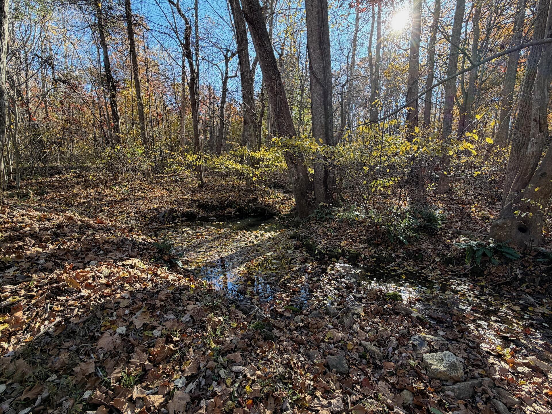0 Beulah Road Rocky Mount, VA 24151 - Photo 20 of 90 Dykstra ground photos - 11