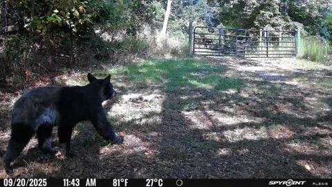 $399,000 | 0 Beulah Road, Rocky Mount, VA 24151