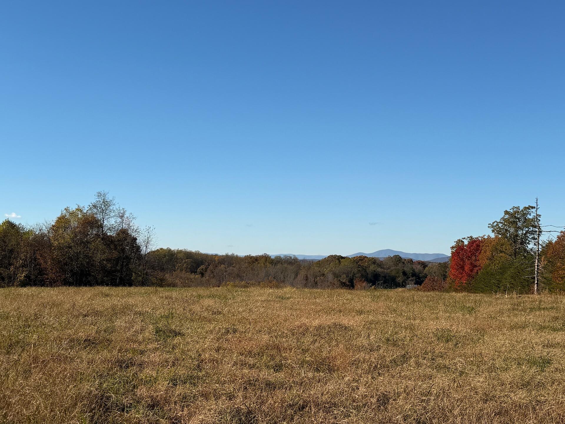 0 Beulah Road Rocky Mount, VA 24151 - Photo 30 of 90 Dykstra ground photos - 25