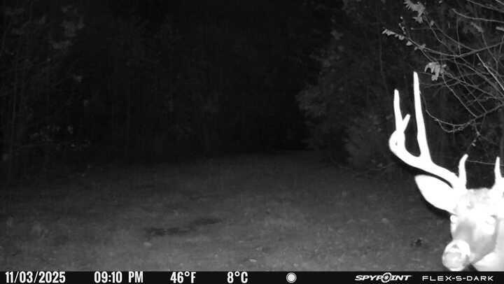 0 Beulah Road Rocky Mount, VA 24151 - Photo 32 of 90 IMG_0512