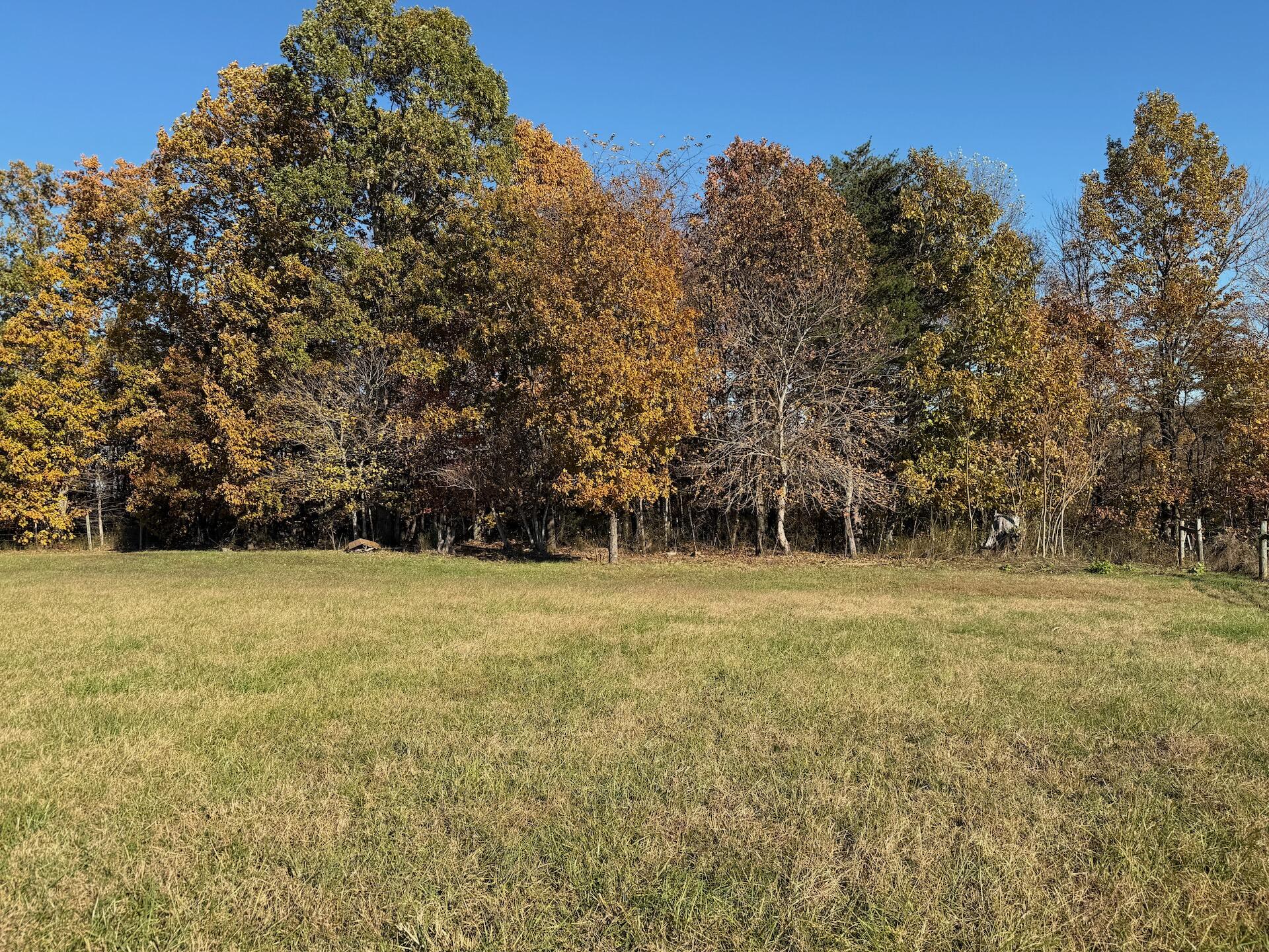 0 Beulah Road Rocky Mount, VA 24151 - Photo 35 of 90 Dykstra ground photos - 21