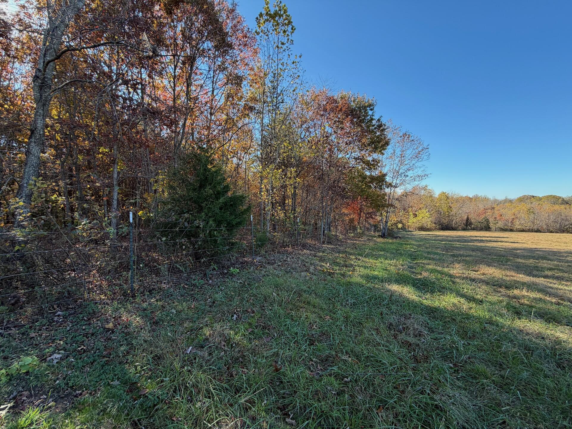 0 Beulah Road Rocky Mount, VA 24151 - Photo 39 of 90 Dykstra ground photos - 18