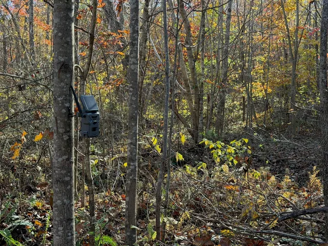 $399,000 | 0 Beulah Road, Rocky Mount, VA 24151