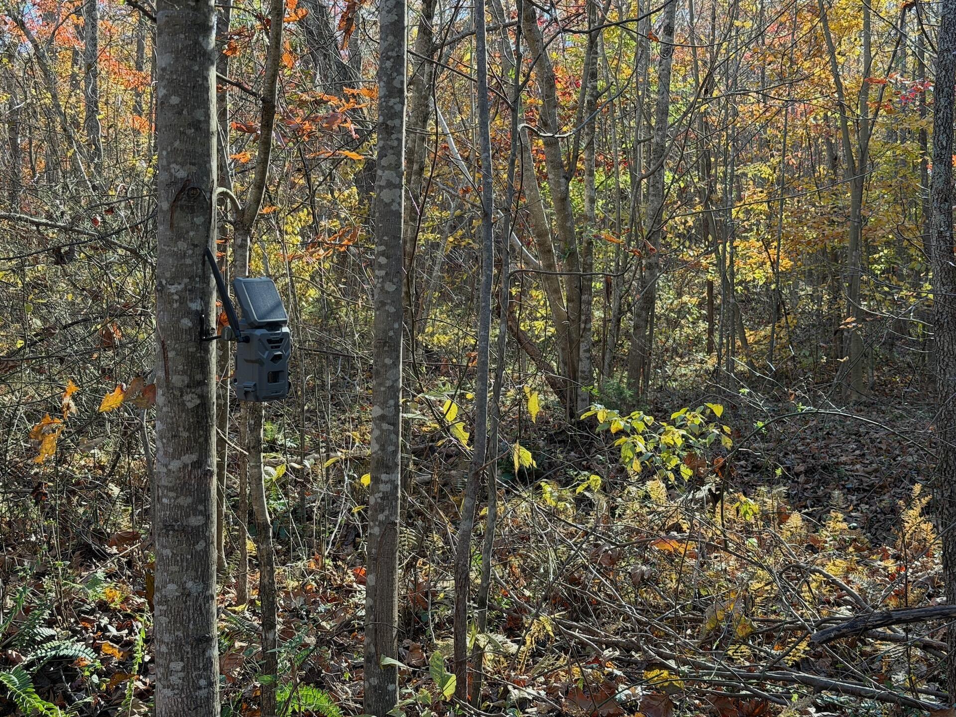 0 Beulah Road Rocky Mount, VA 24151 - Photo 42 of 90 Dykstra ground photos - 15