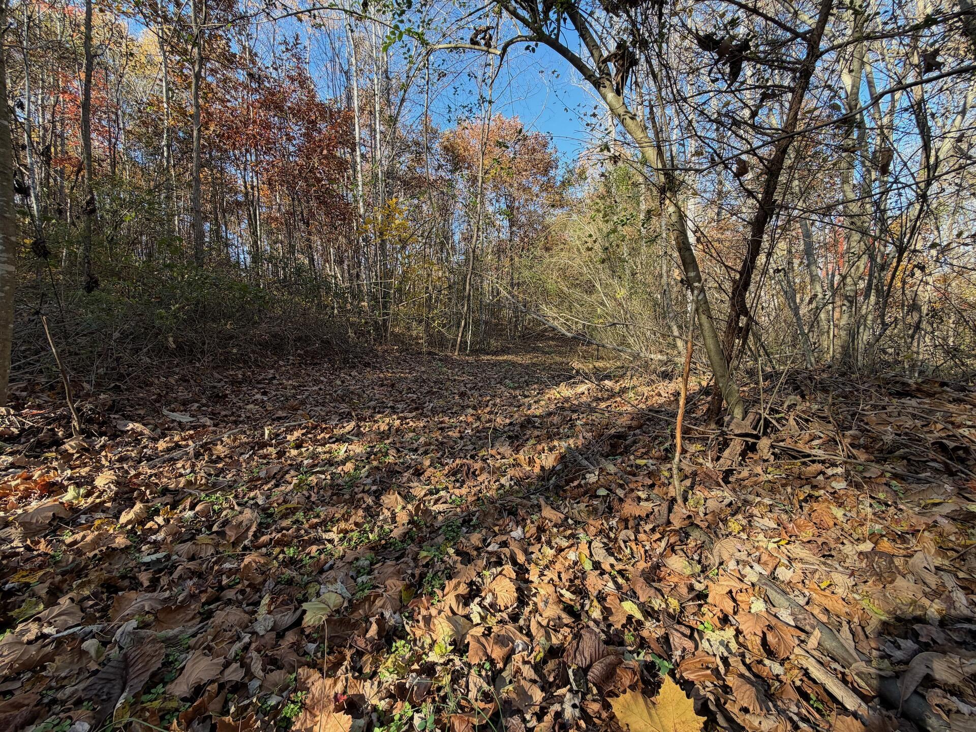 0 Beulah Road Rocky Mount, VA 24151 - Photo 44 of 90 Dykstra ground photos - 14