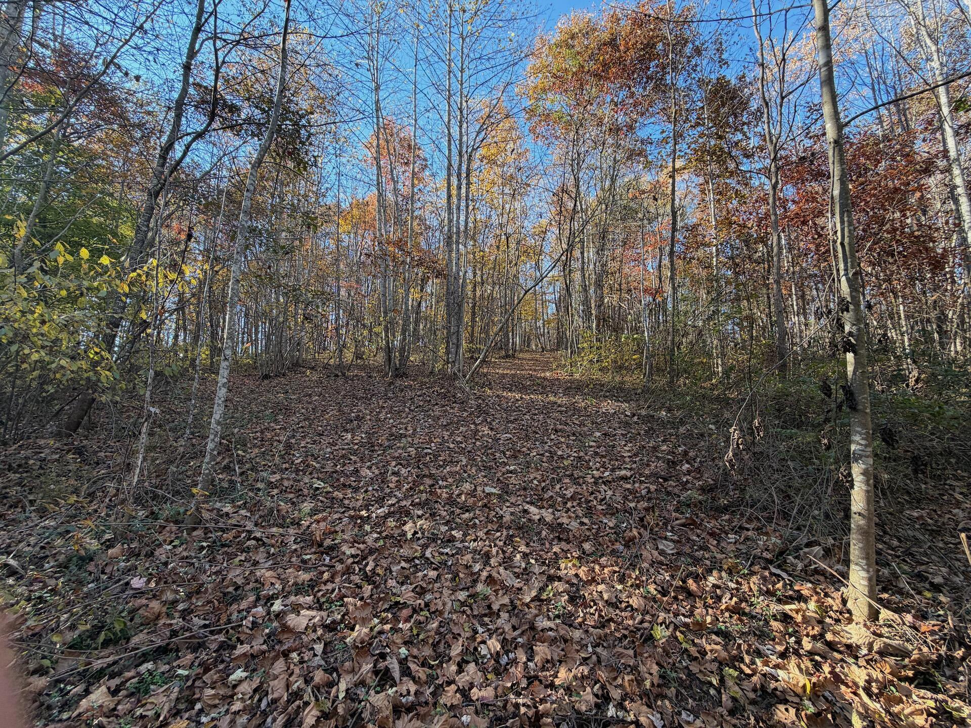 0 Beulah Road Rocky Mount, VA 24151 - Photo 45 of 90 Dykstra ground photos - 13