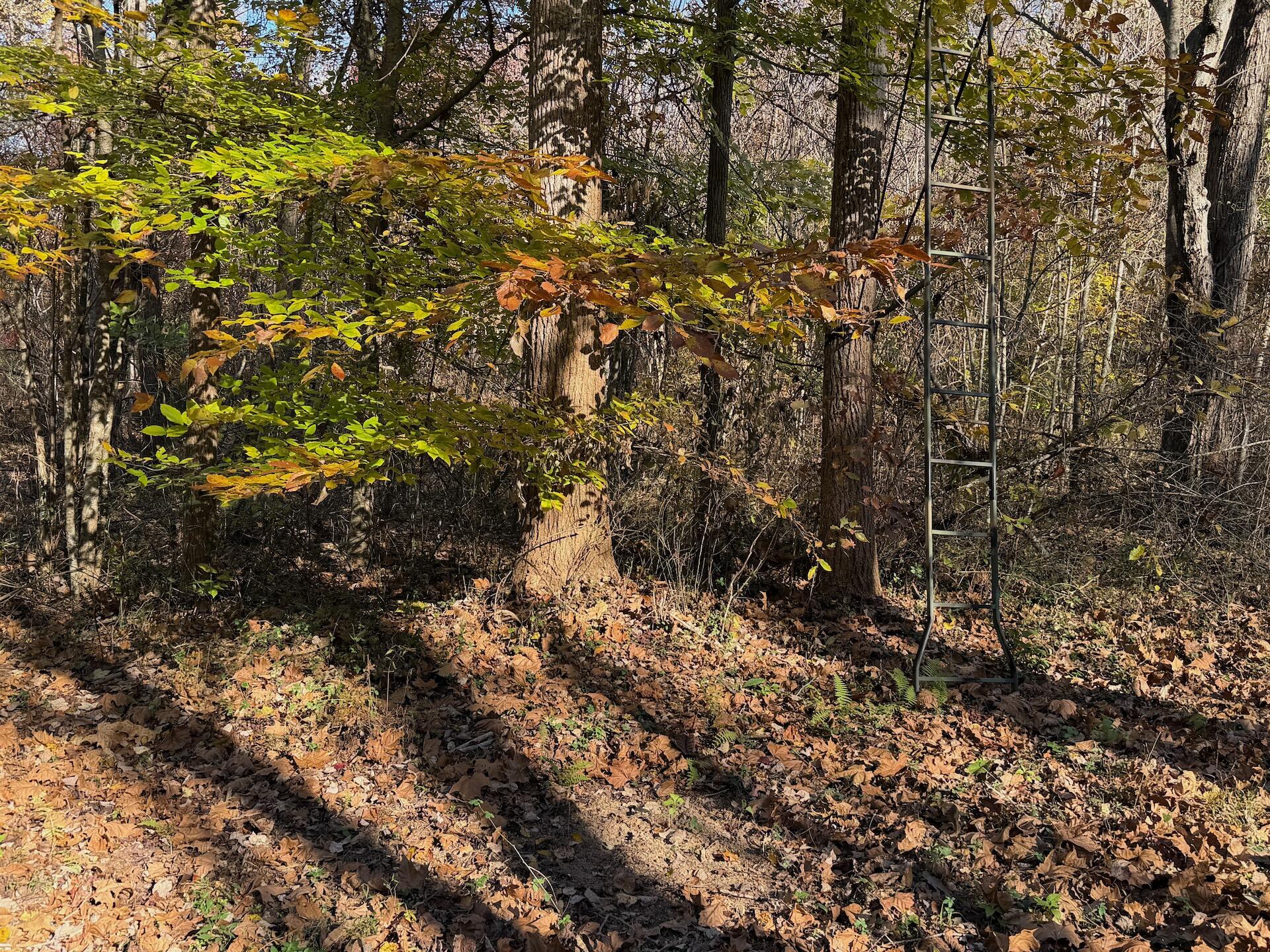 0 Beulah Road Rocky Mount, VA 24151 - Photo 46 of 90 Dykstra ground photos - 10