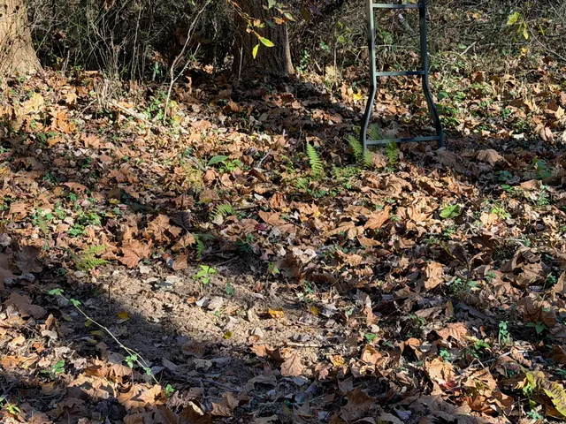 $399,000 | 0 Beulah Road, Rocky Mount, VA 24151