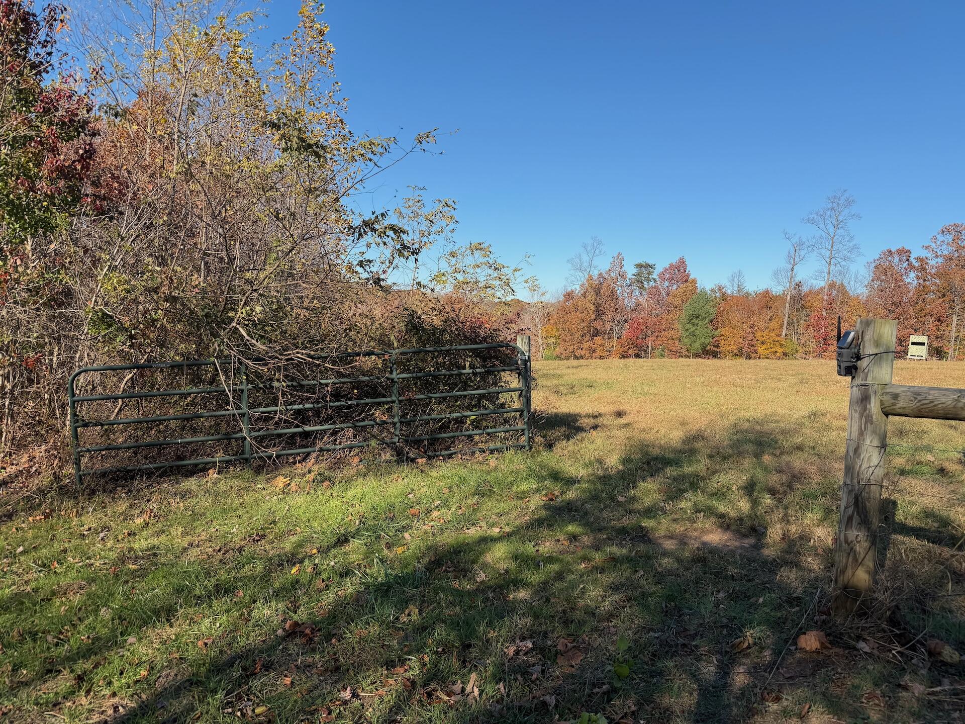0 Beulah Road Rocky Mount, VA 24151 - Photo 50 of 90 Dykstra ground photos - 1