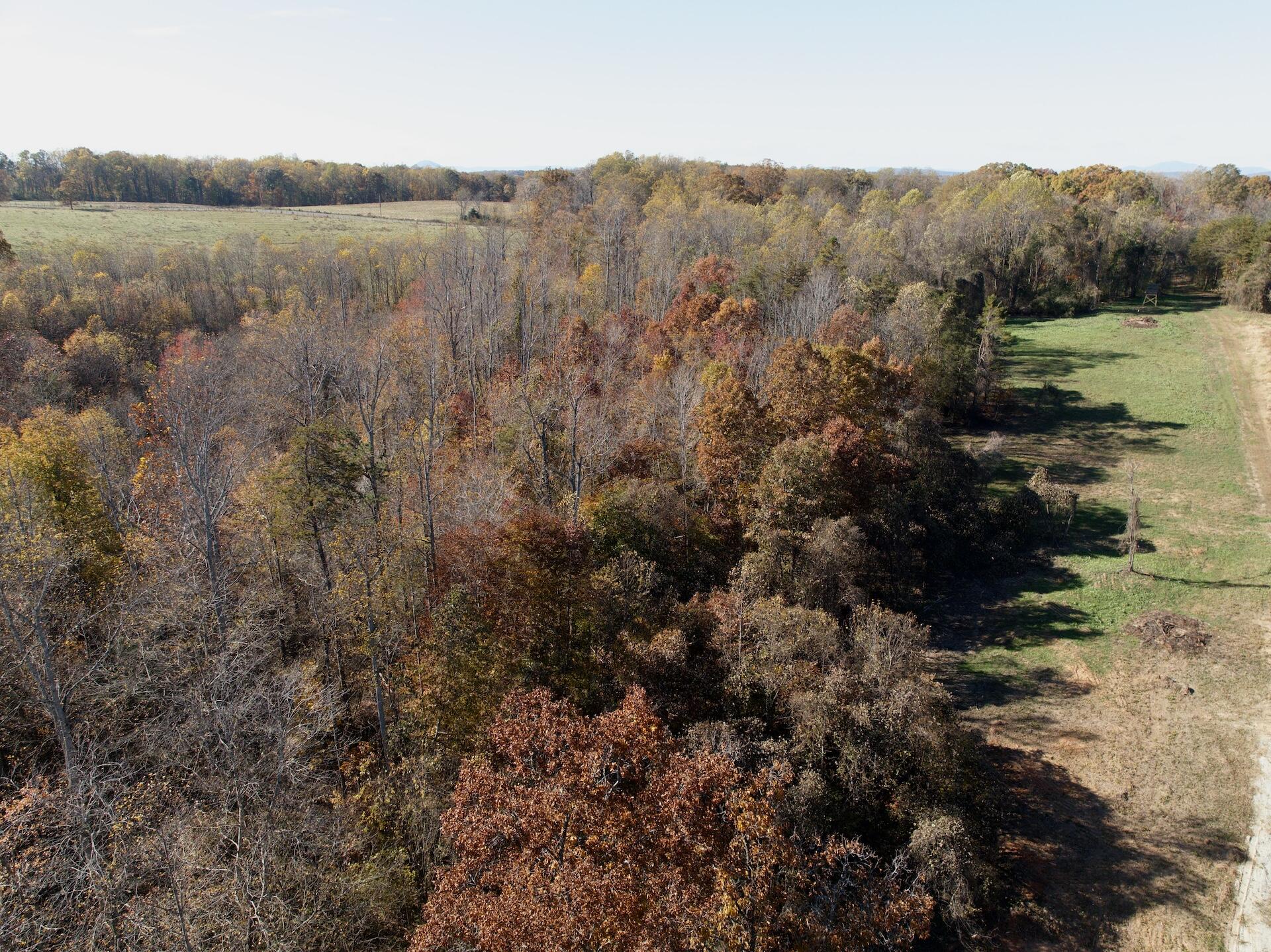 0 Beulah Road Rocky Mount, VA 24151 - Photo 67 of 90 Dykstra - 36